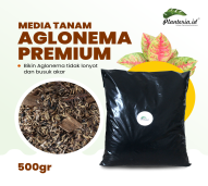 Media tanam aglonema premium 500 gram media tanam aglonema