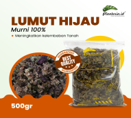 Rumput Hidup Media Tanam Lumut Hijau Ande Ande Lumut - 500gr